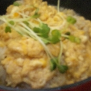 材料２つで簡単フライパンで玉子丼